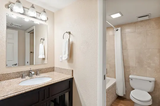 Old Town Lofts, Unit 2 — bathroom