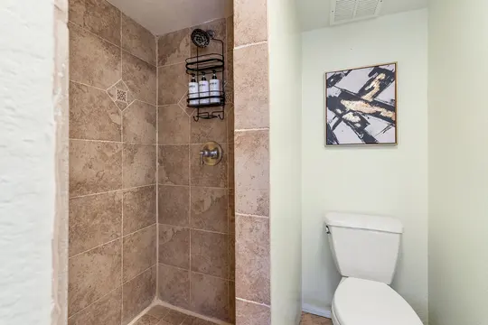 Old Town Lofts, Unit 3 — bathroom